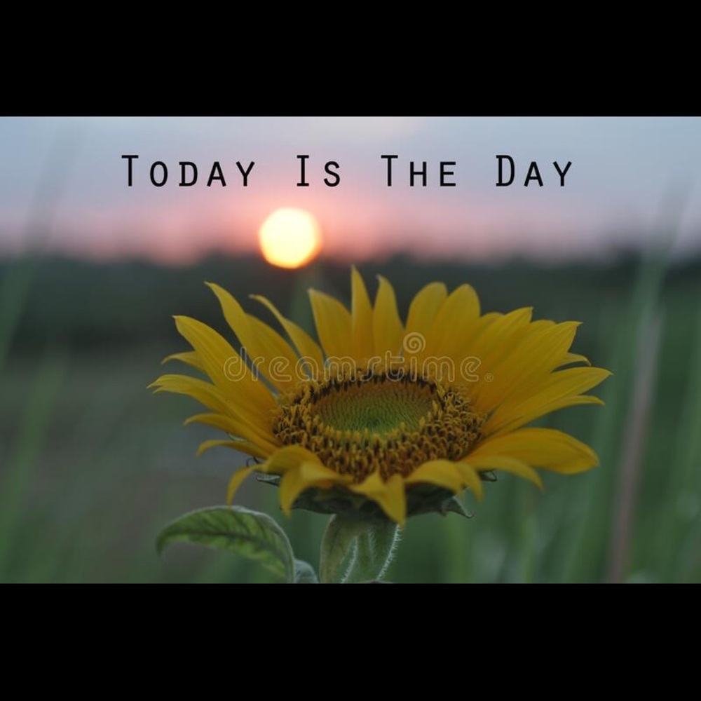 🌻🌼🌻🌼☀️grateful for you browsing my posh today - Picture 9 of 9